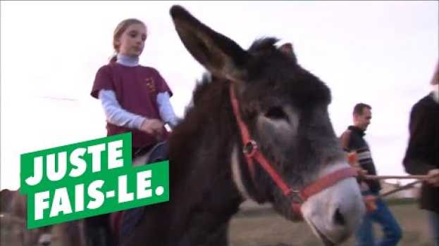 Video Pourquoi s'acheter un âne ? po polsku