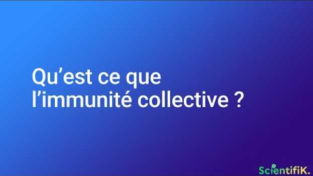 Video HORS SÉRIE - Qu'est-ce que l'immunité collective ? em português