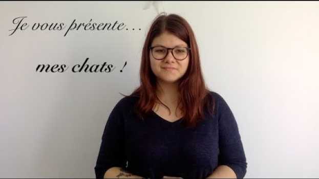 Video Je vous présente mes chats !   türkçe