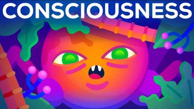 Video The Origin of Consciousness – How Unaware Things Became Aware en français