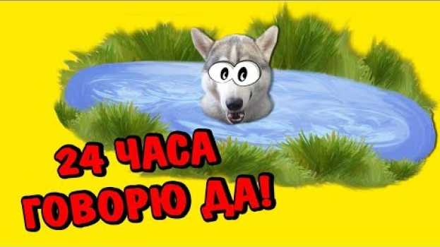 Video 24 часа СИНДИ говорит ДА. Челлендж. Искупалась в озере! Говорящая собака in English