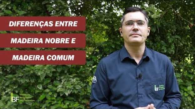 Video Qual a diferença entre madeira de lei e madeira comum? po polsku