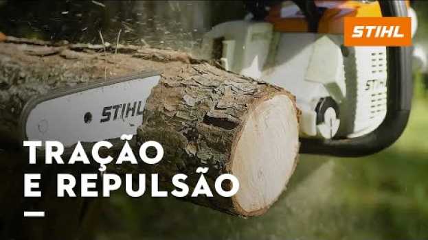 Video Tração e repulsão da motosserra: o que são e COMO OPERAR COM SEGURANÇA?   türkçe
