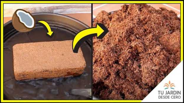 Видео 💯 ¿Ya probaste la Fibra de Coco? | SUSTRATOS para plantas🔍 CARACTERÍSTICAS ¿Qué es la fibra de coco? на русском