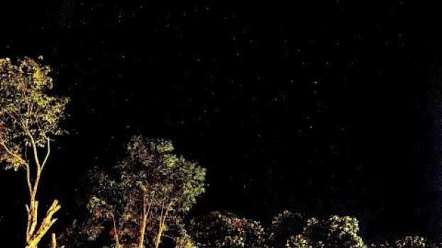 Video Vocês sabem quem foram Castor e Pollux?  Não?,  Então vem! en español