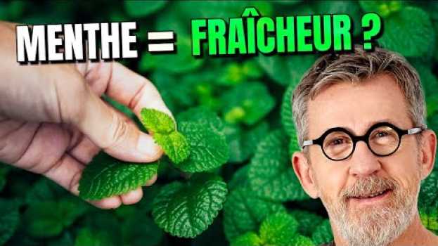 Video Pourquoi la MENTHE est si fraiche ? | Confinement Jour 49 em português