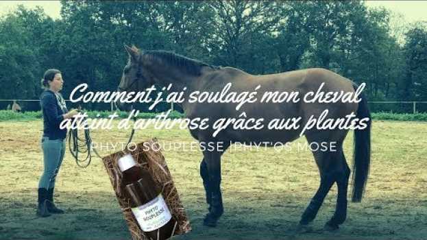 Video Comment j'ai soulagé mon cheval atteint d'arthrose grâce aux plantes auf Deutsch