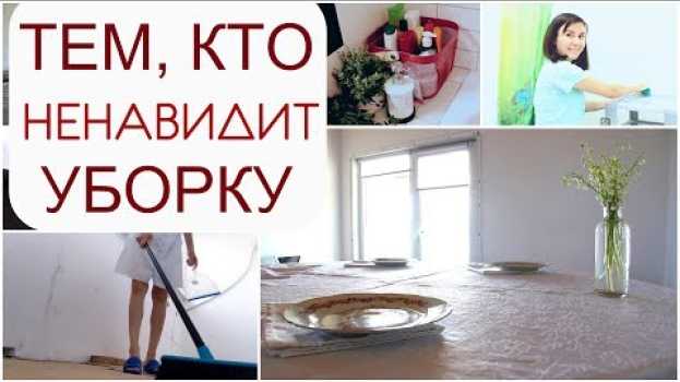 Video Вы точно НАЧНЁТЕ УБОРКУ после этого видео/ 7 поводов начать уборку po polsku