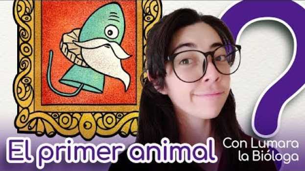 Video ¿Cuál fue el primer animal? auf Deutsch
