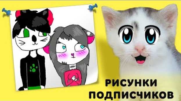 Video КОШКА МУРКА и РИСУНКИ ОТ ПОДПИСЧИКОВ!   türkçe
