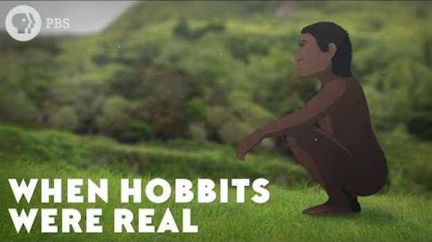 Video When Hobbits Were Real en español