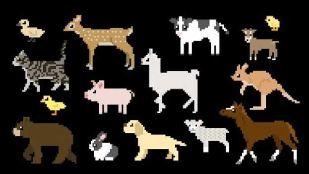 Video Baby Animals - Cute Puppy, Kitten, Piglet, Duckling & More - The Kids' Picture Show in English