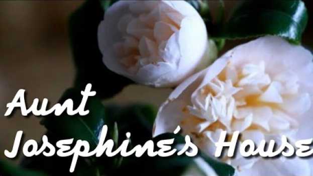 Video Aunt Josephine's House #33 em português