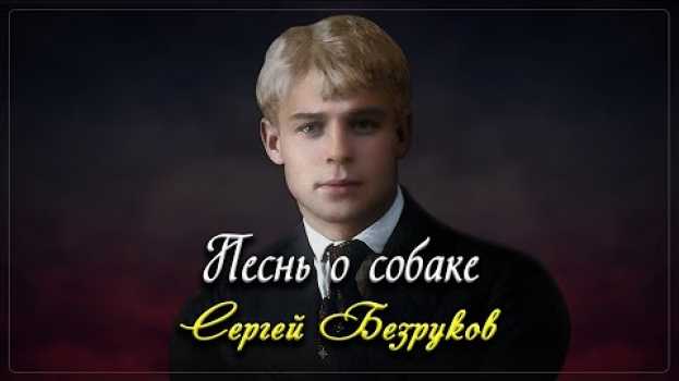 Video Песнь о собаке - Сергей Есенин (читает Сергей Безруков) #есенин #поэзия #стихи   türkçe