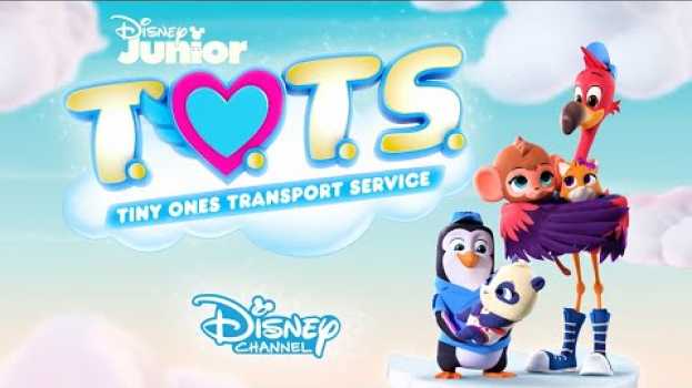 Video Bringing This Baby Home | Music Video | T.O.T.S. | Disney Junior   türkçe