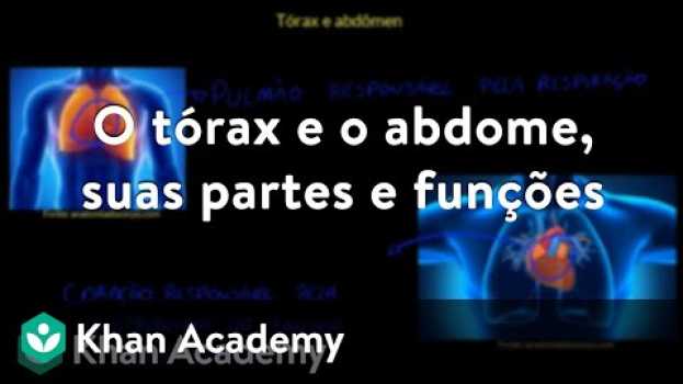 Video O tórax e o abdome, suas partes e funções po polsku