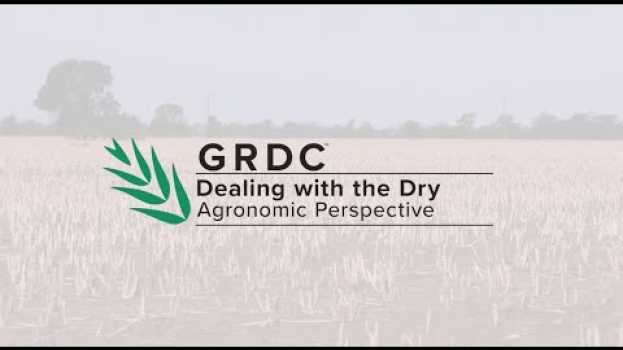 Video Dealing with the Dry | Agricultural Consultant Greg Rummery em português