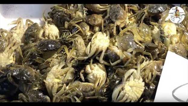 Video LE MOECHE, la vera ricetta em português