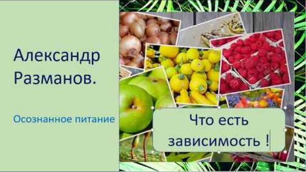 Video Что есть зависимость? po polsku