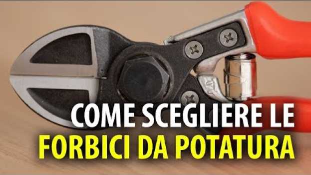 Video COME SCEGLIERE LE FORBICI DA POTATURA en français