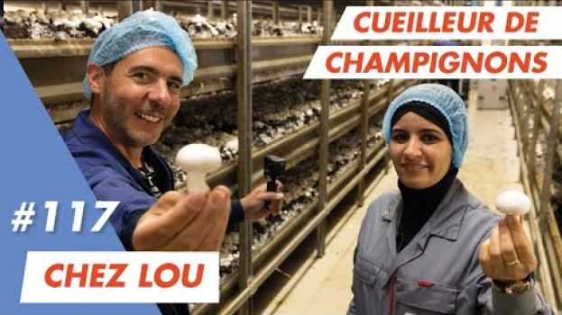 Video Je bosse comme cueilleur de champignons chez Lou avec Fatima in English