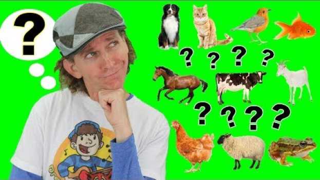 Video What Is It? Animals Song | My First Words Series Song 1 | Learn English en español