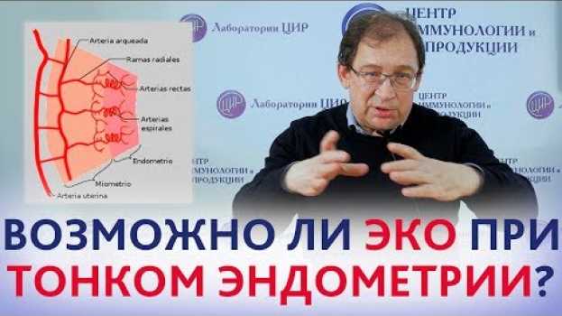Video Тонкий эндометрий и КРИОПРОТОКОЛ. Можно ли делать ЭКО при тонком эндометрии? Отвечает доктор Гузов. su italiano