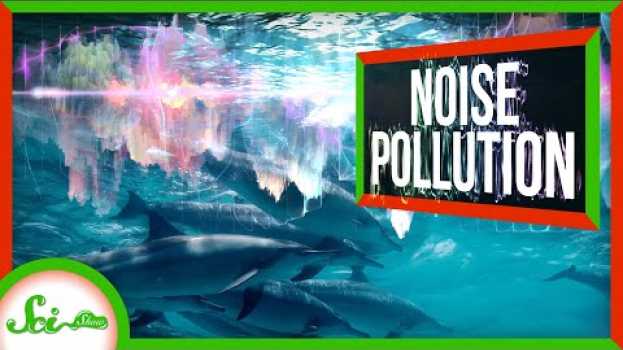 Video Noise Pollution Is a Bigger Deal Than You'd Think en español