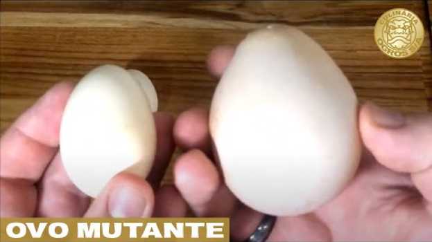 Video Que ovo é esse??? Será que vira omelete??? (Veja o incrível Ovo Mutante) en français