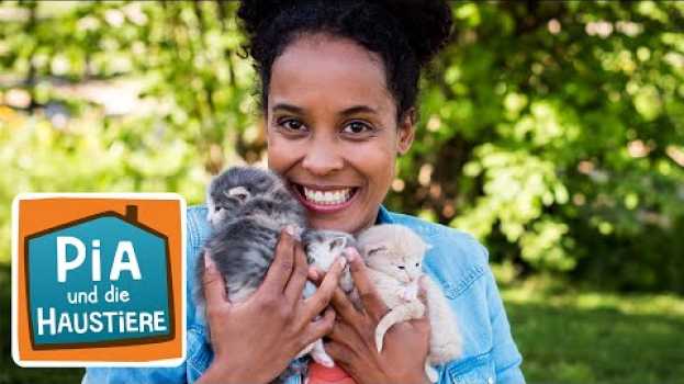 Video Ein Tag bei der Tierfotografin | Information für Kinder | Pia und die Haustiere | Spezial su italiano