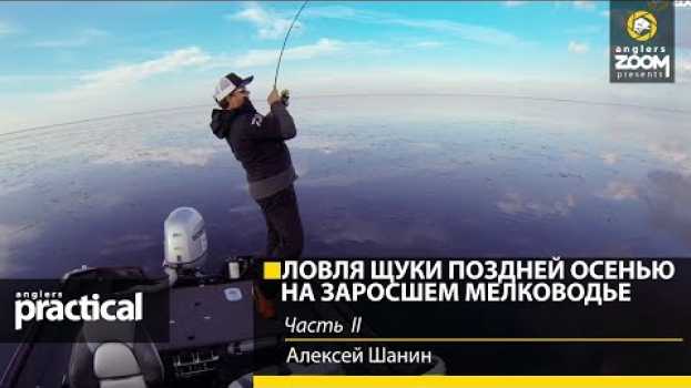 Video Ловля щуки воблерами поздней осенью на заросшем мелководье. А. Шанин. Часть 2. Anglers Practical   türkçe