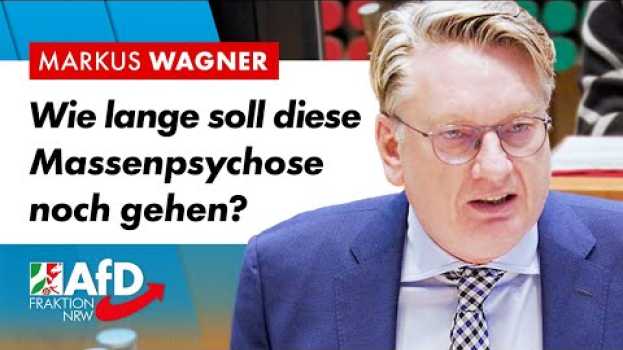 Video Ihre Lüge fliegt auf und Sie können es nicht verhindern! – Markus Wagner (AfD) po polsku