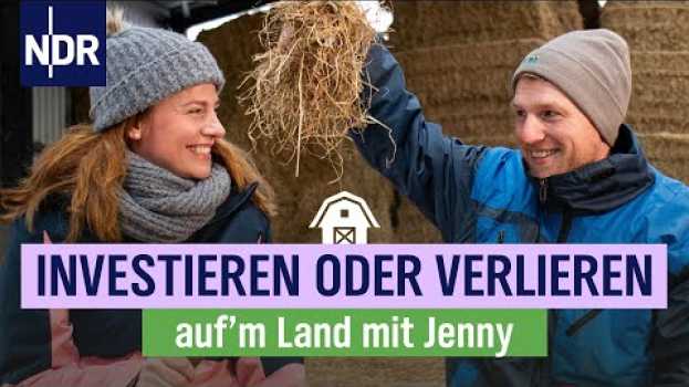 Video Volles Risiko für die perfekte Heumilch | Folge 8 | NDR auf'm Land su italiano