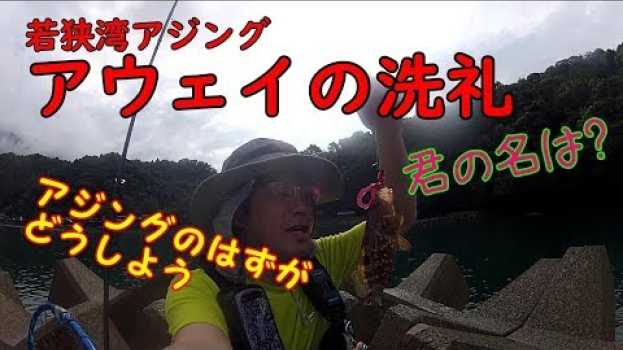 Video  in English