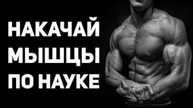 Video Это нужно знать, чтобы набрать мышечную массу. Научный подход к тренировкам. А. Антонов auf Deutsch