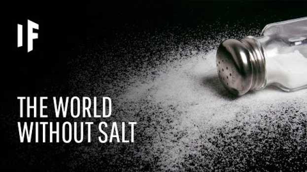 Video What If There Was No Salt in the World?   türkçe