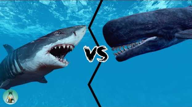 Video MEGALODON VS LIVYATAN - Who would win between this two legendary creatures? en español