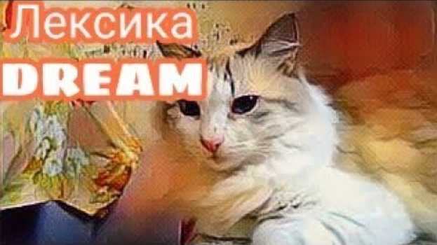 Video Они спят 2/3 жизни! А ты?!😭   türkçe