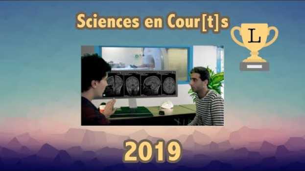 Video L'IRM de M. Pignon auf Deutsch