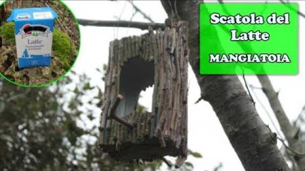 Video MANGIATOIA per uccelli selvatici con un CARTONE del LATTE - Riciclo in giardino & Birdgarden po polsku