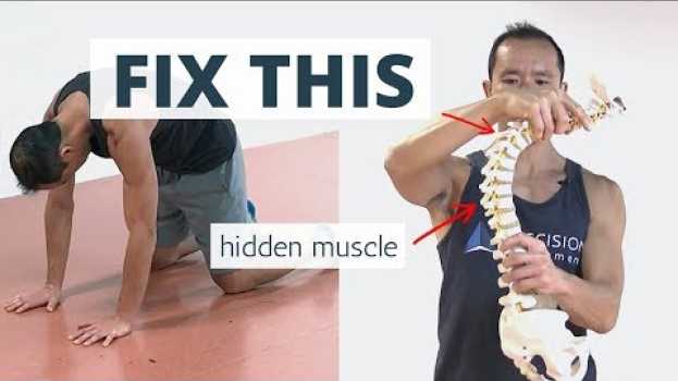 Video Wake Up This "Hidden" Muscle to Fix HUNCHBACK Posture (aka Kyphosis) na Polish