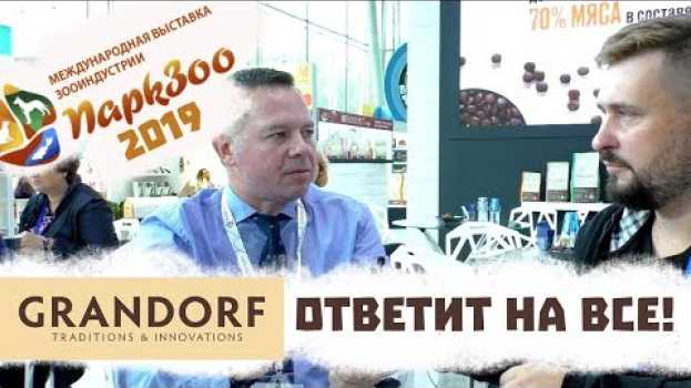 Video Интервью с Grandorf / Грандорф ответит на все! Выставка ПаркЗоо 2019 su italiano