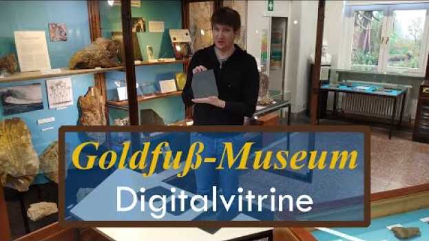 Video Glitzernde Fossilien auf dem Dach - Der Hunsrückschiefer su italiano