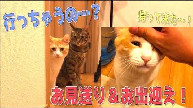 Video  in English