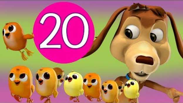 Video CHOCOLO CONTABA A LOS POLLITOS HASTA EL 20 - CANCIONES INFANTILES - MÚSICA PARA JUGAR   türkçe