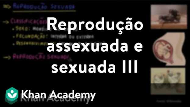Video Reprodução assexuada e sexuada III auf Deutsch