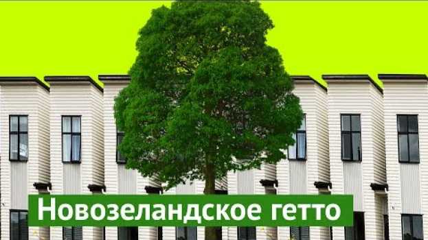 Video Реновация в Новой Зеландии. Хотели бы так жить? su italiano