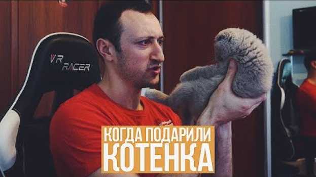 Video КОГДА ПОДАРИЛИ КОТЕНКА em português