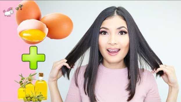 Video Mascarilla De Huevo Para Fortalecer El Cabello y Evitar La Caida 🦄 Bessy Dressy em português