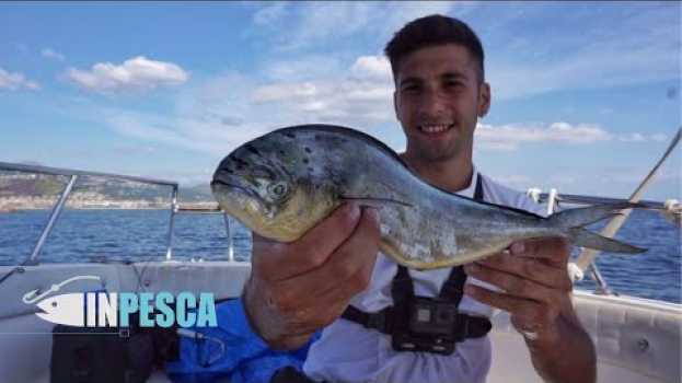 Video TRAINA estiva col VIVO dalla barca | Cercavamo il SERRA ma arriva la LAMPUGA in English
